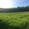 Купить земельный участок Московская обл, Солнечногорский р-н, деревня Шапкино 