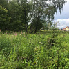 Купить земельный участок Московская обл, г Клин, тер ДНП Комарово (д Поджигородово) 